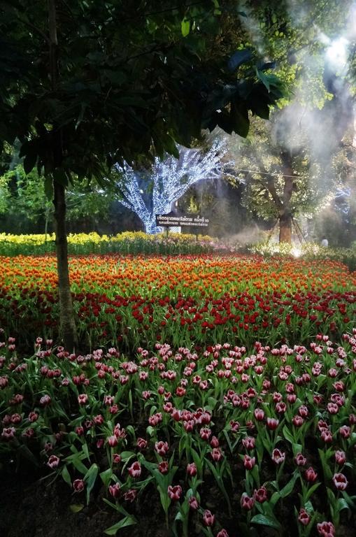 Sabai Chiang Rai Hotel Bagian luar foto